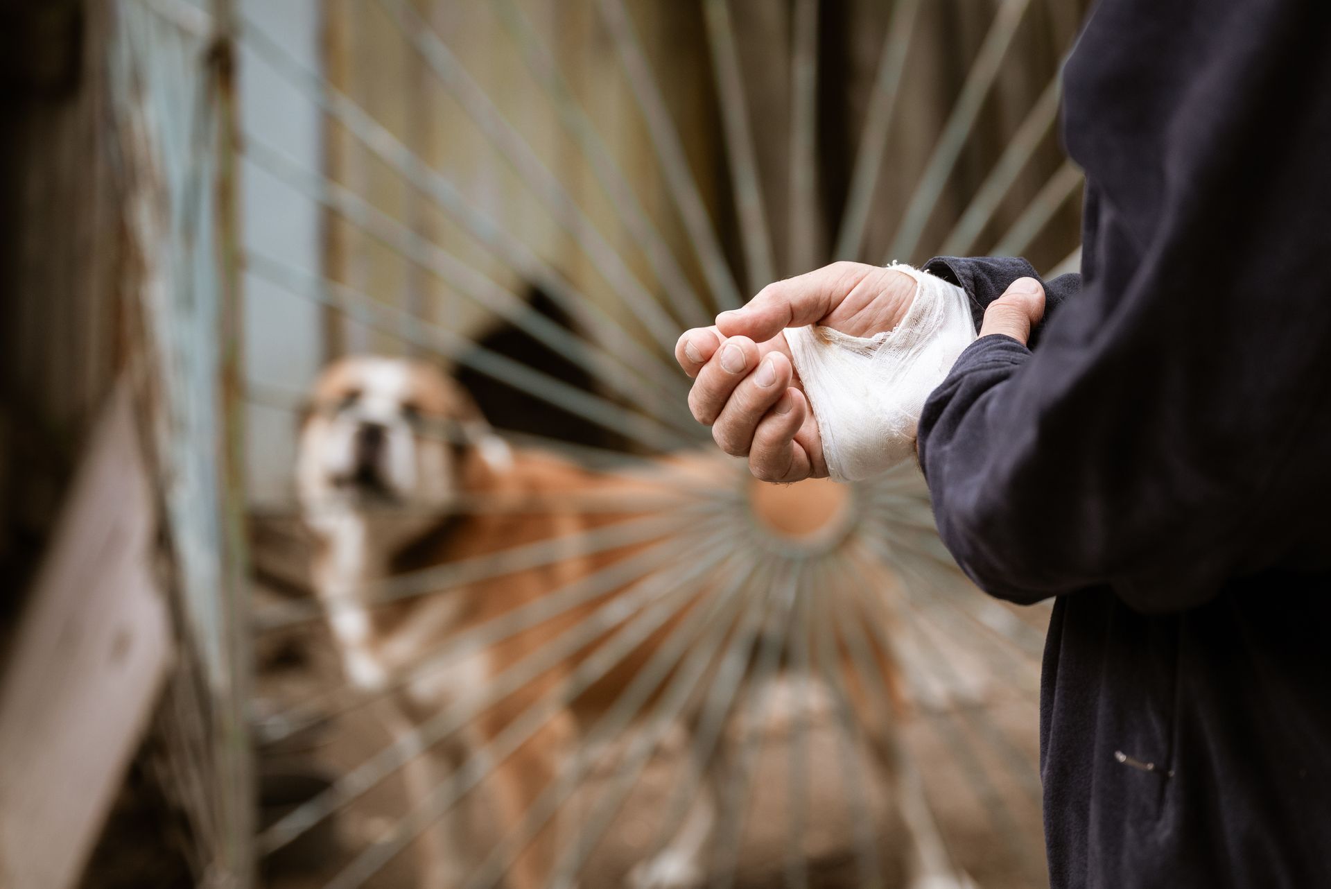 Dog Bite Settlement Missouri